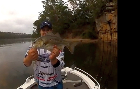 VIDEO: Shoalhaven bassin’